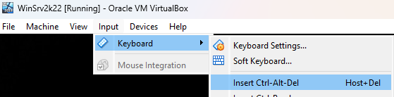 In the VM window, in the top bar, click on Input > Keyboard > Insert Ctrl-Alt-Del