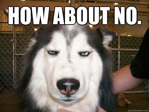 Serious Husky dog saying "How about No."

large insert speeds SQL Server